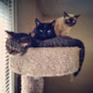 Meet your Posher, Lindsey